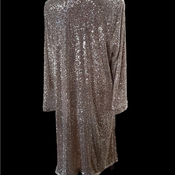 Sequin Silver Duster Anthropologie Dulcinea Jacket x BB Dakota Size Large - Picture 9 of 10
